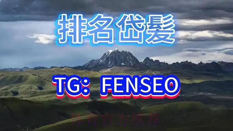 全面解析优质世界杯买球平台推荐